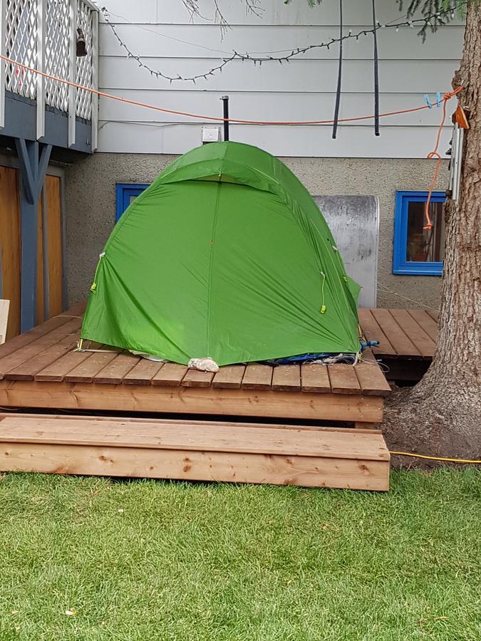 Beez Kneez Bakpakers Hostel Γουάιτχορς Εξωτερικό φωτογραφία