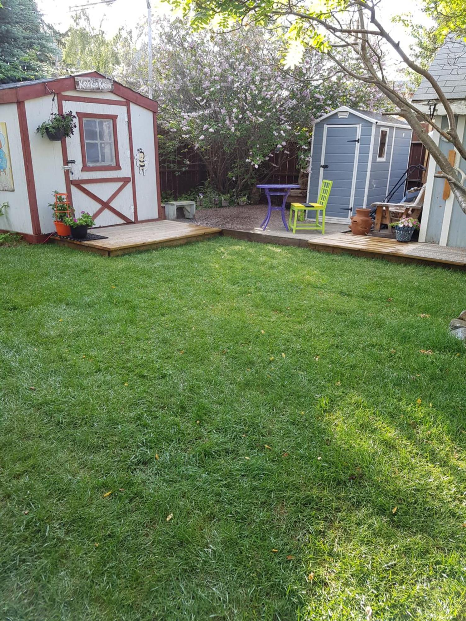 Beez Kneez Bakpakers Hostel Γουάιτχορς Εξωτερικό φωτογραφία